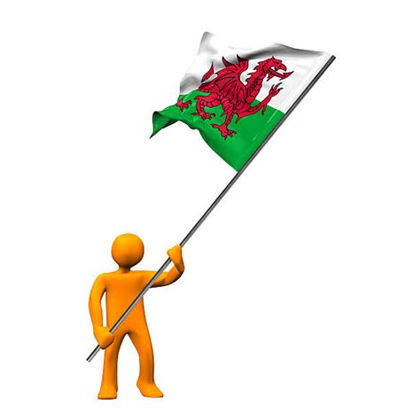 Welsh Football Fans Stock Photos Pictures And Royalty Free Images Istock