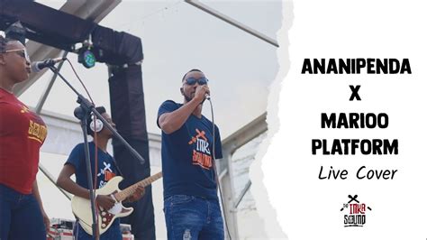 Platform Ft Marioo Ananipenda Live Cover Youtube