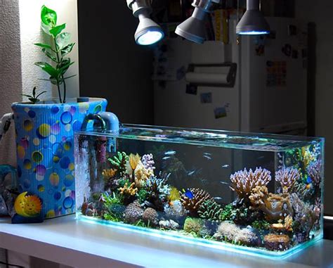 Reef Aquariums For Your Inspiration