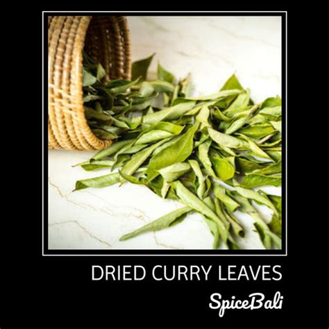 Jual Dried Curry Leaves Gr Dry Curry Leaf Daun Kare Kari Kering