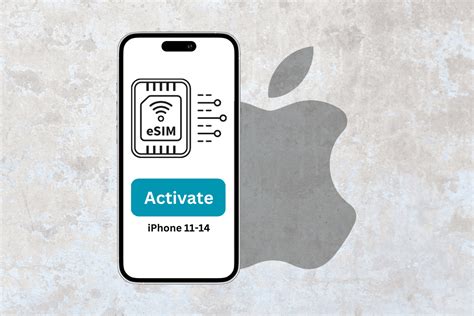 How To Activate Esim On Iphone 13 And 14 Techcult