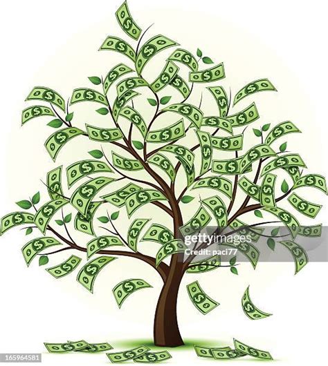 Money Falling From Tree Photos And Premium High Res Pictures Getty Images