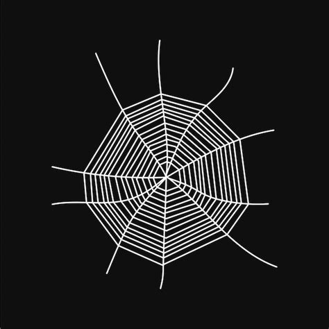 Premium Vector | Cobweb vector design
