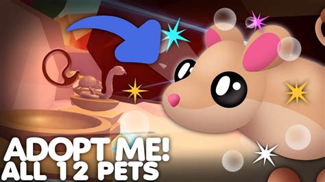 🌵all 12 Desert Egg Pets In Adopt Me 🥚 New Egg Youtube