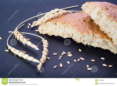 Wheat bread and Wheat stock photo. Image of grain, harvest - 63178238