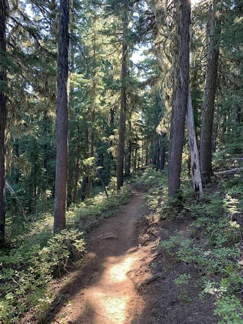 Scott Mountain Loop Trail - Oregon | AllTrails