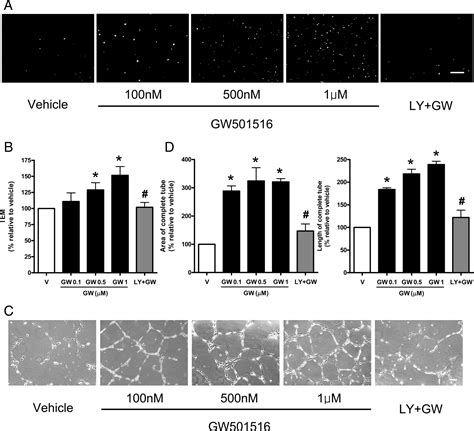 Peroxisome Proliferator–Activated Receptor-δ Agonist Enhances ...