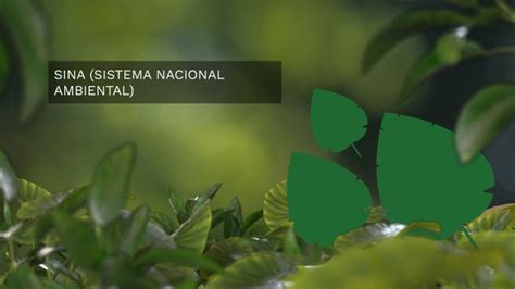 SINA SISTEMA NACIONAL AMBIENTAL By RUBIELA POPAYAN MOGOLLON On Prezi