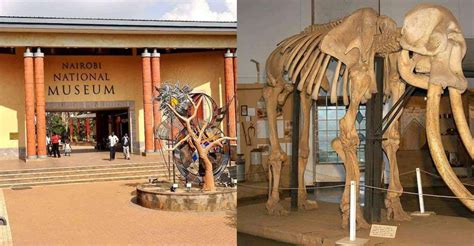 Nairobi National Museum Giraffe Centre Bead Center Tour Getyourguide