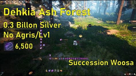 Bdo Succession Woosa Dehkia Ash Forest Hr Lv Ls No Agris