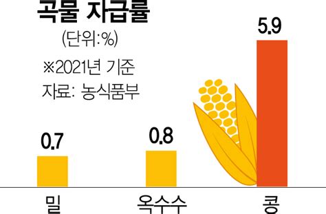 폐허가 된 세계의 곡창···식량가격지수 역대 최고