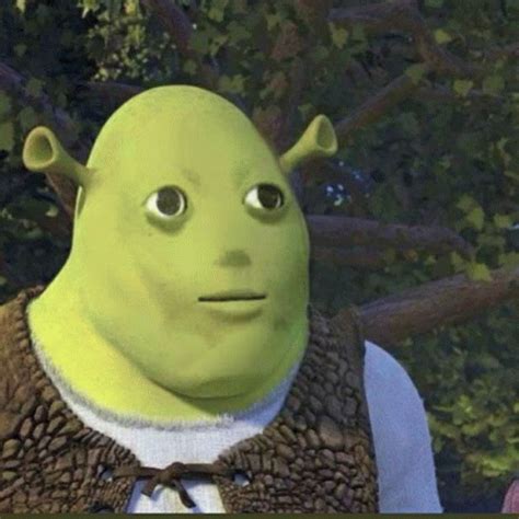 Shrek Shrek Meme Shrek Shrek Meme Shreck Descobrir E