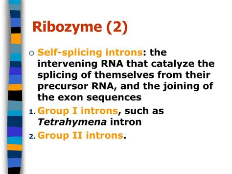 Ppt Rna Processing And Rnps Powerpoint Presentation Free Download