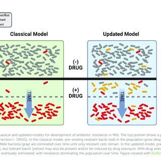 Examples Of Resistance Mutations And Compensatory Mechanisms In Mtb