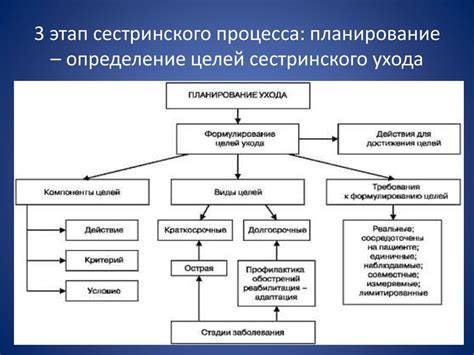 Сестринский процесс как основа оказания сестринской помощи ...
