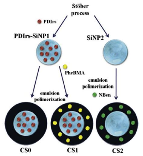 Pure Silica Nanoparticles Sinp2 And Silica Nanoparticles Doped With A Download Scientific