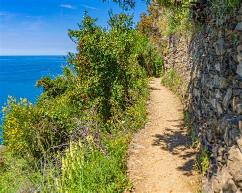 Cinque Terre Tips Alles Wat Je Moet Weten Voor Jouw Bezoek Reistips