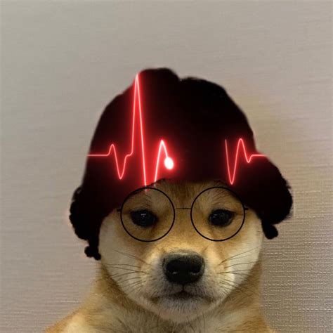 Пин от пользователя Marlon Exe на доске Perro Con Gorro Meme Игровые