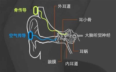 骨传导耳机是什么原理？骨传导耳机优缺点是什么？骨传导耳机好用吗？骨传导耳机推荐哪些？骨传导耳机全面讲解及推荐 知乎