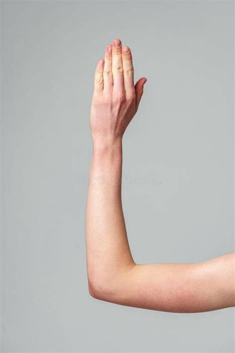 Human Hand Raised Against A Neutral Gray Background In A Studio Setting