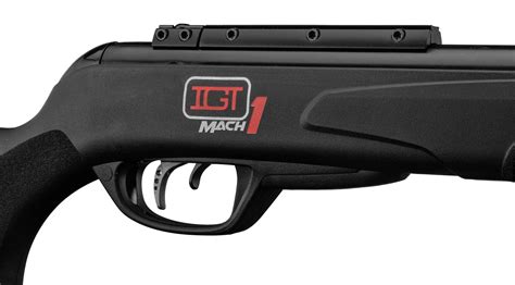 Carabine Plomb Gamo Black Maxxim Igt Mach Cal Mm Carabines