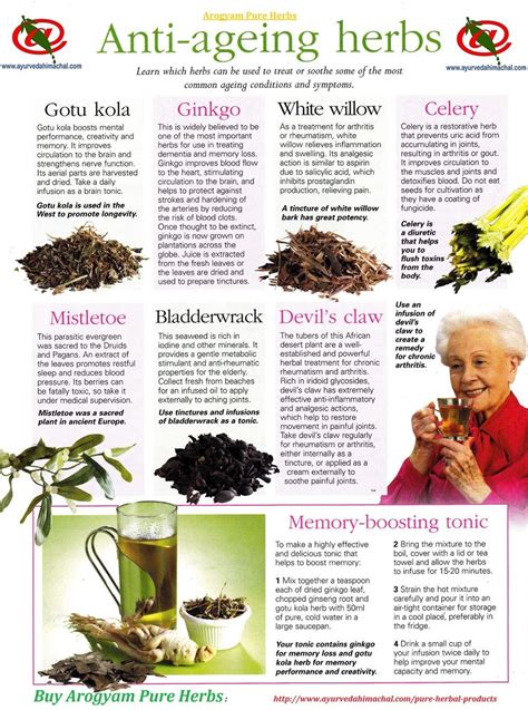 Anti Ageing Herbs Pure Herbal Products