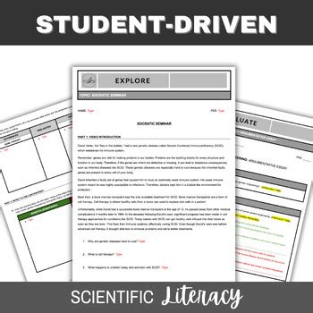 Human Genetic Engineering Socratic Seminar And Argumentative Essay Lesson