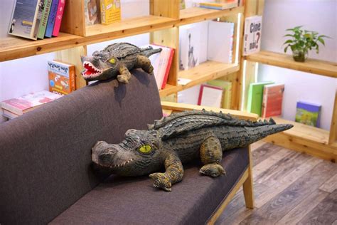 Lifelike Realistic Stuffed Alligator For Sale | Alwaysplushie