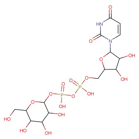 Uridine 5 Diphospho α D glucose 13C6 DiaMMoniuM Salt 904293 00 1 wiki