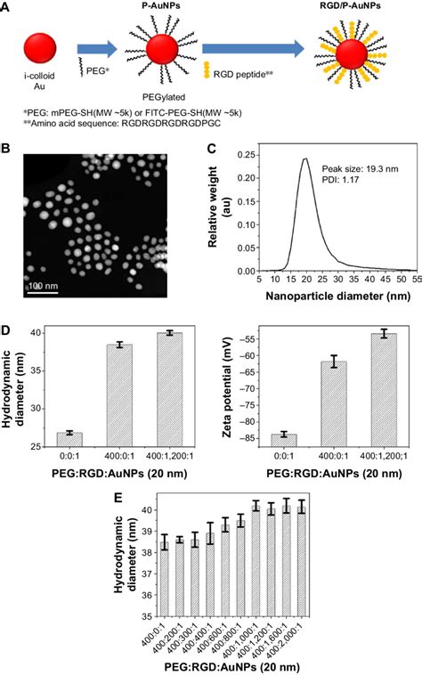 Fabrication And Characterization Of Rgd P Aunps Notes A Schematic Download Scientific