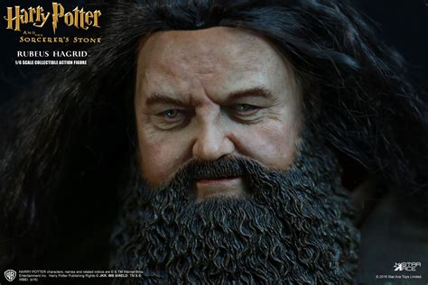 Harry Potter Rubeus Hagrid With Fang 16 Scale Action Figure Ikon