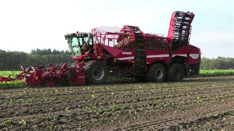 Bieten Rooien Grimme Rexor Platinum John Deere R Claas