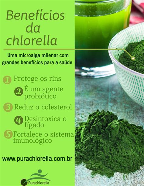 Benef Cios Da Chlorella