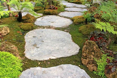 7 Tips for Growing Your Own Moss Garden