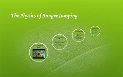 The Physics Of Bungee Jumping By Natalie Demuro