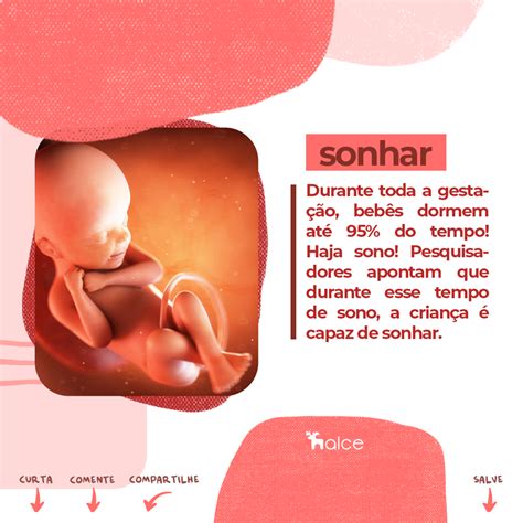 Animais Que Se Desenvolvem Dentro Da Barriga Da Mãe - 9