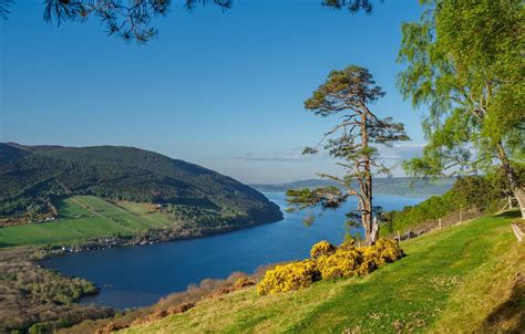 Wallpaper trees, lake, hills, slope, Scotland, Scotland, Scottish ...