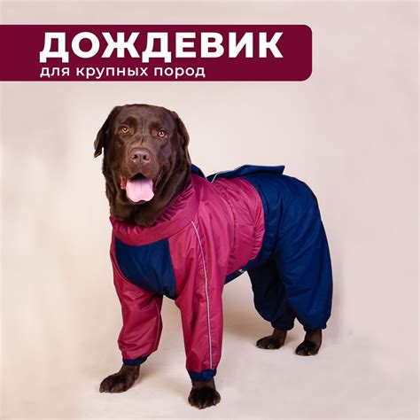 Комбинезон для собак крупных пород, демисезонная одежда для животных ...