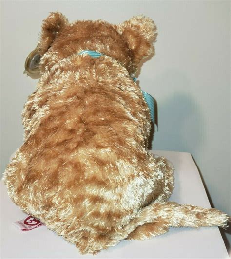 Ty Beanie Buddy Mattie Cat No Dob Shell Tysilk Mwmt Rare For