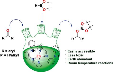 Homoleptic Zinccatalyzed Hydroboration Of Aldehydes And Ketones In The