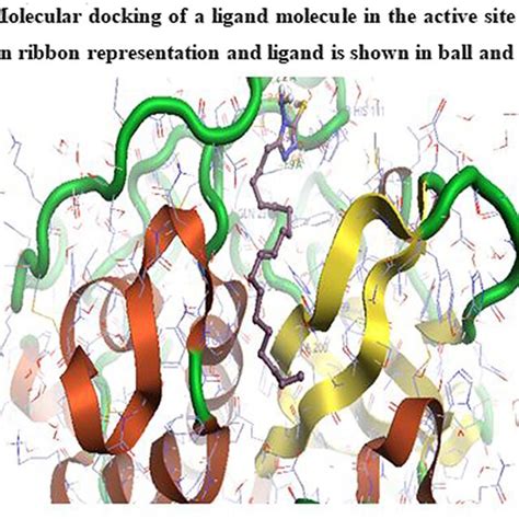 Molecular Docking Of A Ligand Molecule In The Active Site Of Protein