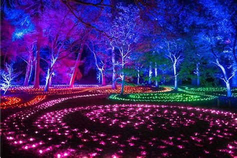 Brooklyn Botanic Garden S Lightscape Returns For A Dazzling Winter