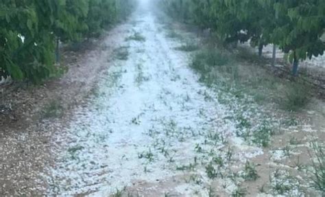 El Granizo Deja Da Os En Hect Reas De Frutales Vi Edos Y Almendros