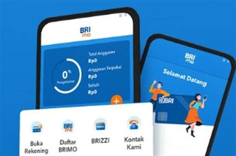 Cara Buka Blokir Brimo Ada Yang Bisa Dilakukan Tanpa Harus Ke Bank