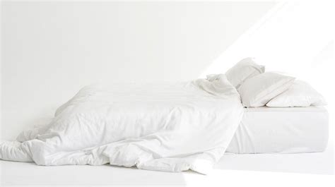 Sleeping Duck Duvet Set | Shop at Bedbuyer - bedbuyer.com.au