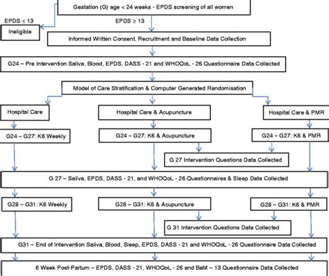 Pragmatic Randomised Controlled Trial Treatment Flowchart Epds