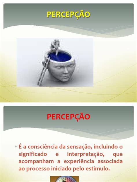 As Principais Formas De Percepção São - Percepção e Atenção: Interpretação Sensitiva | PDF | Estímulo ...