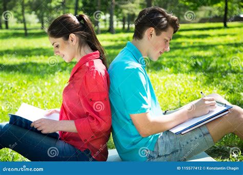 Dos Estudiantes Que Estudian En Parque En Hierba Foto De Archivo