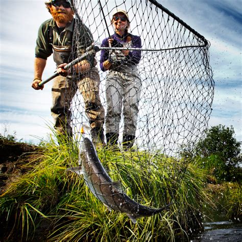 Silver Salmon Alaska Fishing | Coho Salmon Fishing Alaska | Silver ...