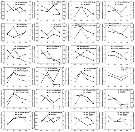 Quantitative Real Time Pcr Validation Of Differentially Expressed